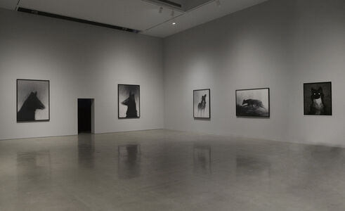 Michal Rovner - 44 Artworks, Bio & Shows on Artsy