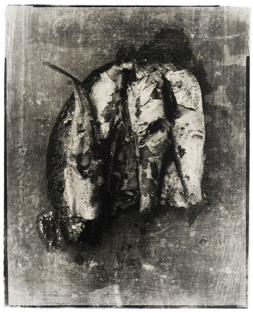 Thomas Nitz Brut 2 2020 Available For Sale Artsy