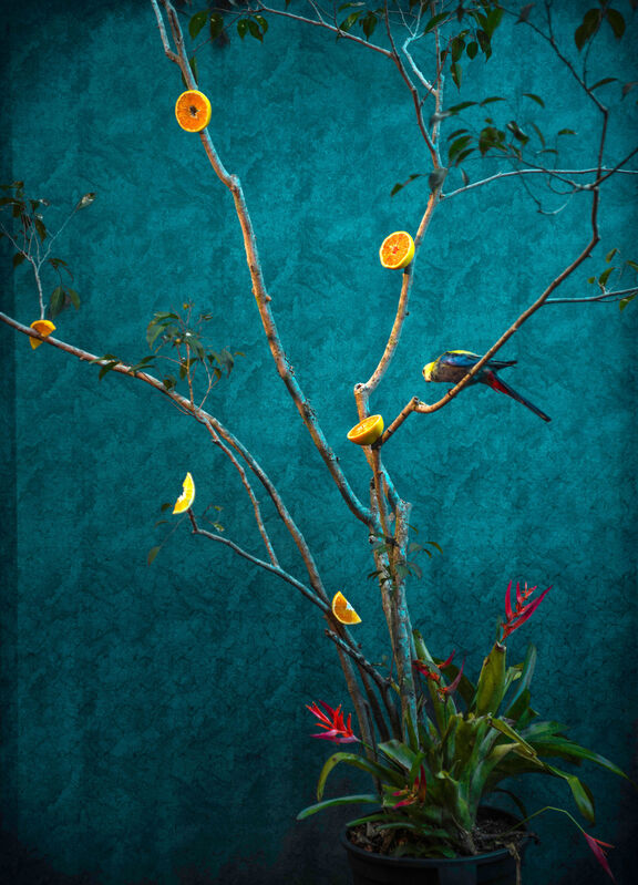 Itamar Freed Yellow Persi Available For Sale Artsy Itamar Freed Yellow Persi Available For Sale Artsy