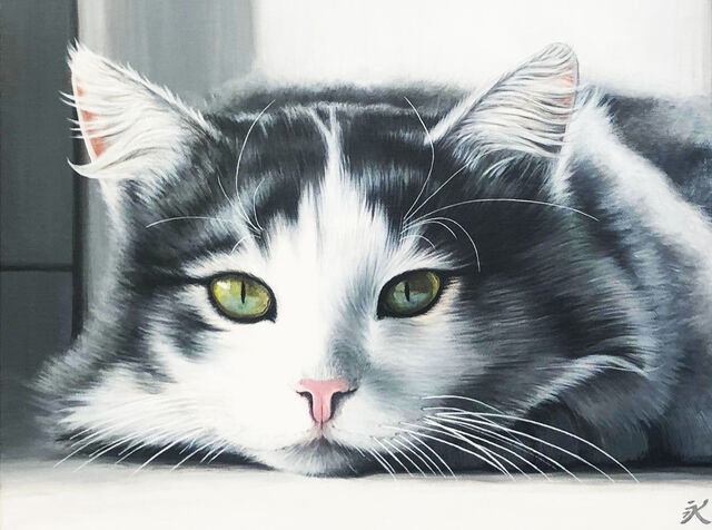 Kalipeinture Chat Gris Et Blanc 19 Available For Sale Artsy Kalipeinture Chat Gris Et Blanc 19 Available For Sale Artsy