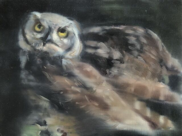 Katherine Bull | Owl outside my window (2020) | Available ...