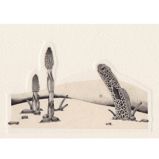 Kana Nemoto Dream Chinanago 1 14 Artsy