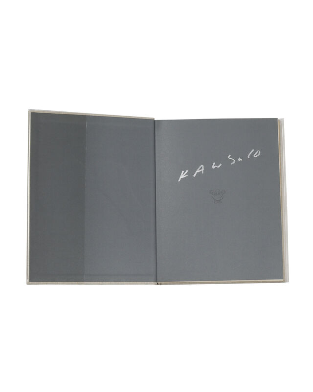 2010 KAWS Art Book by Rizzoli chum Nigo 