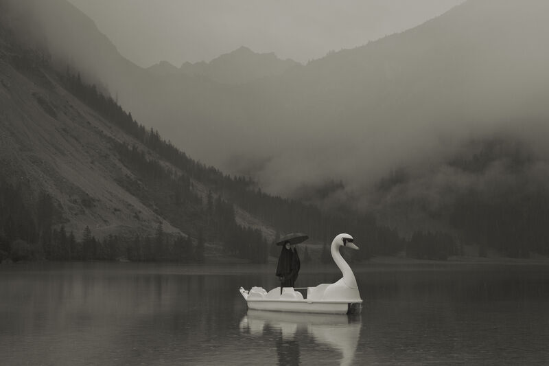 Erwin Olaf | Im Wald, Der Schwan (2020) | Available for Sale | Artsy