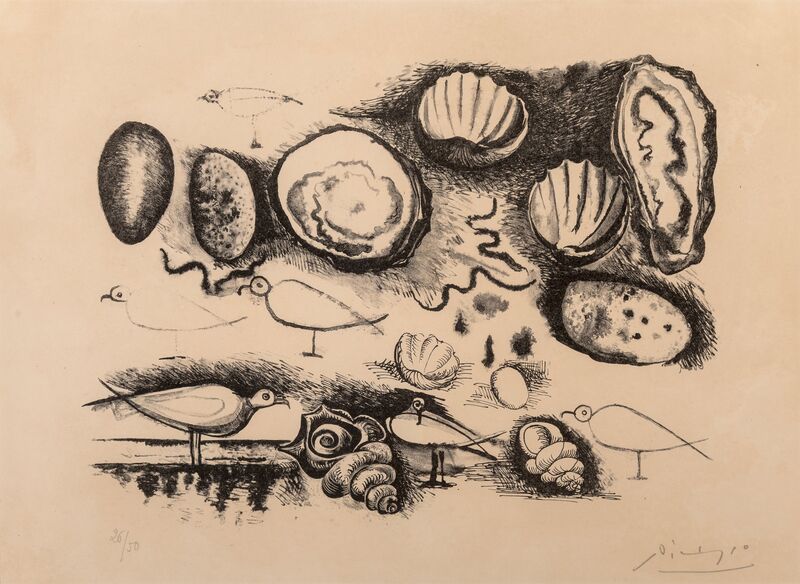 Pablo Picasso Shells And Birds 1946 Artsy Pablo Picasso Shells And Birds 1946 Artsy