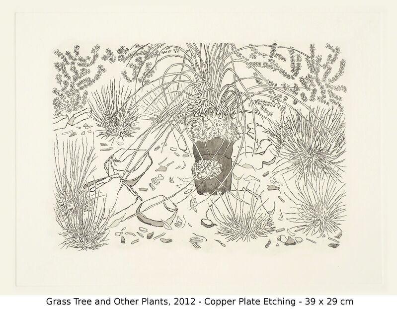 Jacqueline Balassa Grass Tree And Other Plants 12 Artsy Jacqueline Balassa Grass Tree And Other Plants 12 Artsy