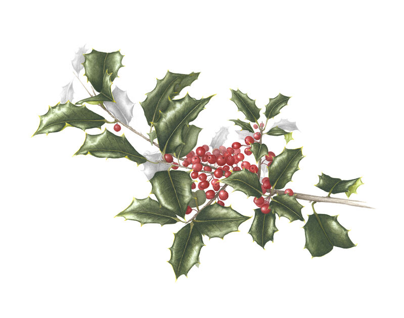 Jean Galle American Holly Available For Sale Artsy Jean Galle American Holly Available For Sale Artsy