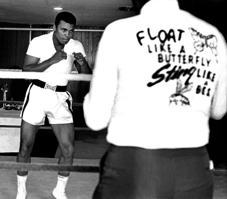 Harry Benson Float Like A Butterfly Sting Like A Bee Muhammad Ali Miami 1964 Available For Sale Artsy Harry Benson Float Like A Butterfly Sting Like A Bee Muhammad Ali Miami 1964 Available For Sale Artsy