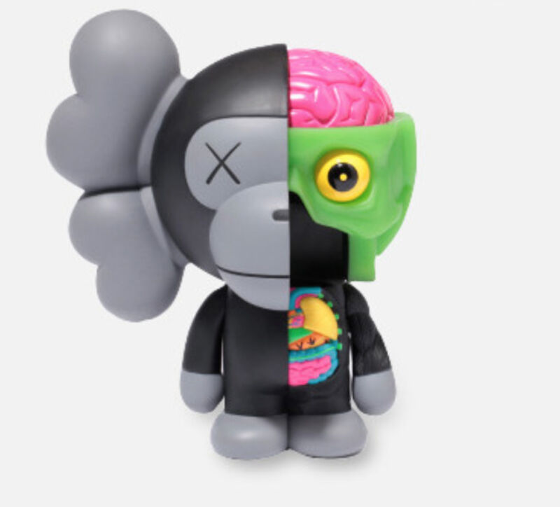 New Kaws Baby Dissected Bape Anatomical Milo Figure Companion Dissected 8inch 