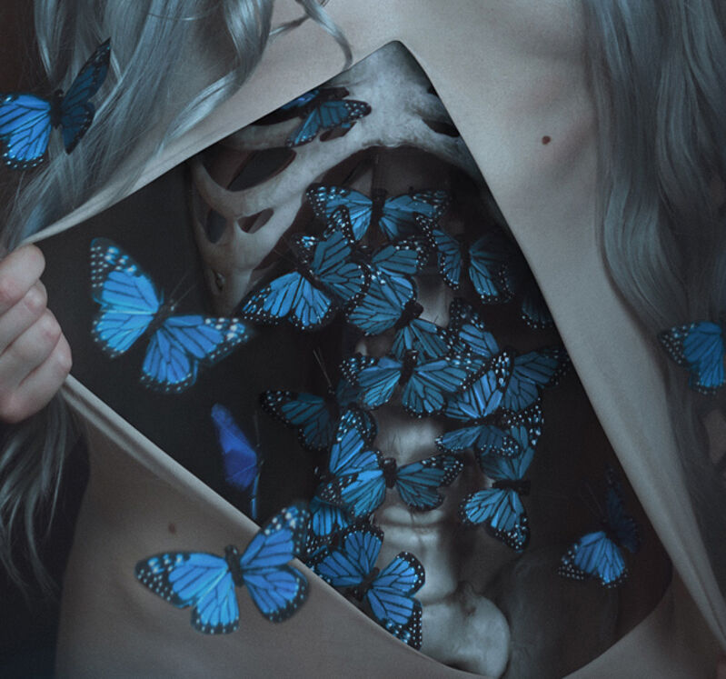 Anya Anti Butterflies In My Stomach 2017 Available For Sale Artsy