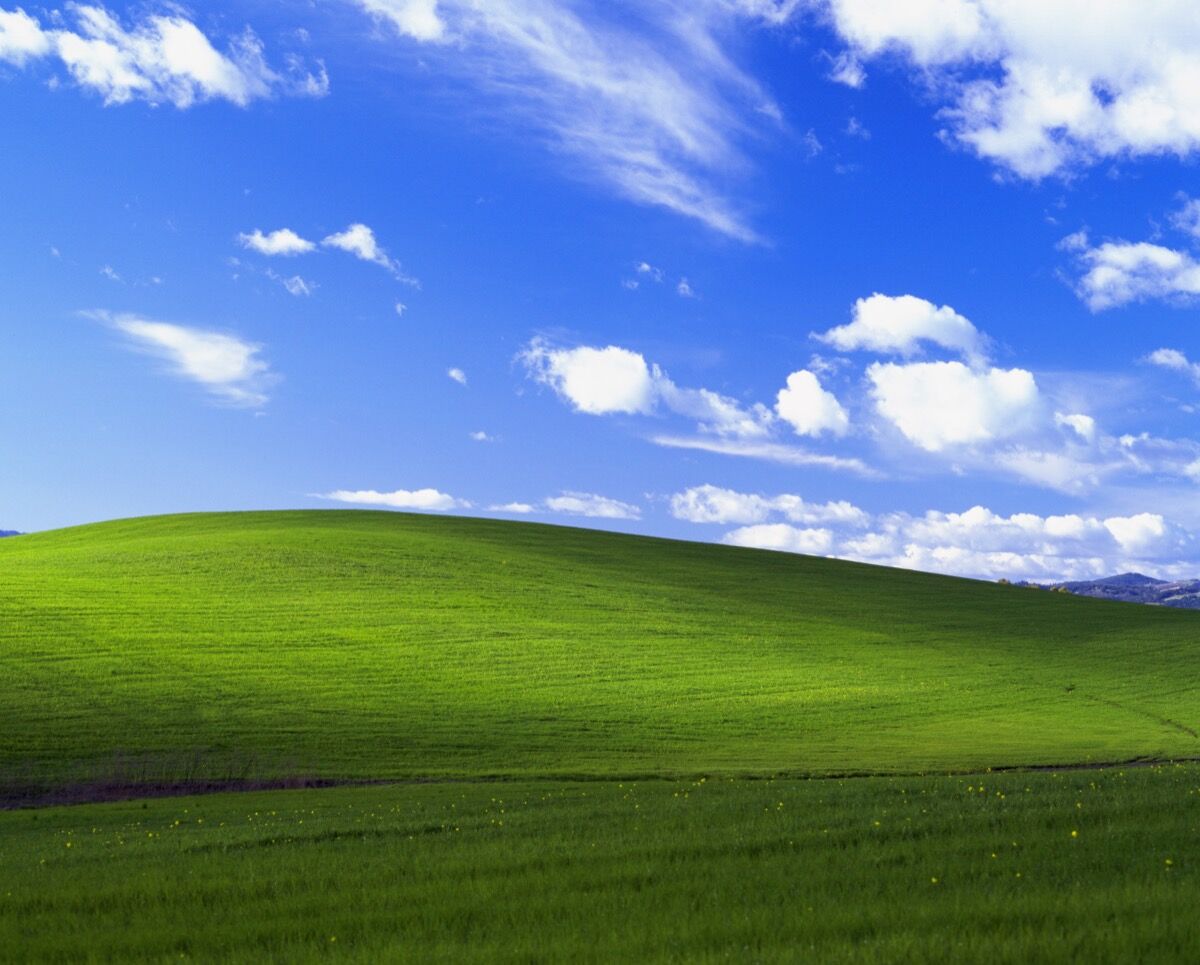 The Story Behind The Famous Windows Xp Desktop Background Artsy