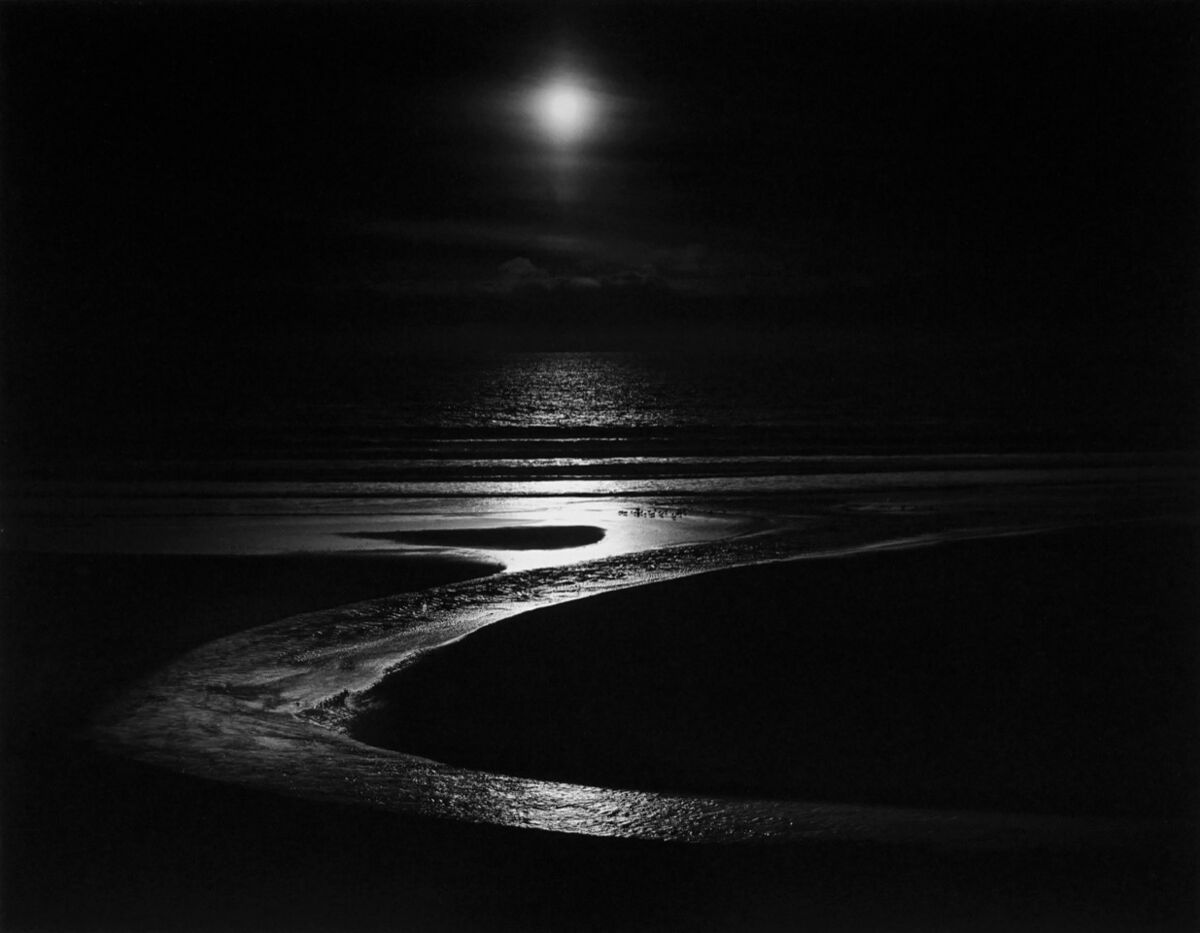 Wynn Bullock, Let There Be Light, 1954. © Bullock Family Photography LLC, Courtesy of Peter Fetterman Gallery.