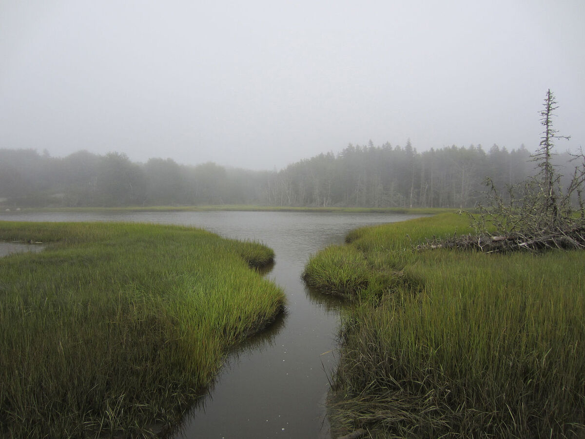 Aviva Rahmani's Blue Rocks project (2002). Image courtesy Eve Andrée Laramée and Aviva Rahmani, via Creative Commons.