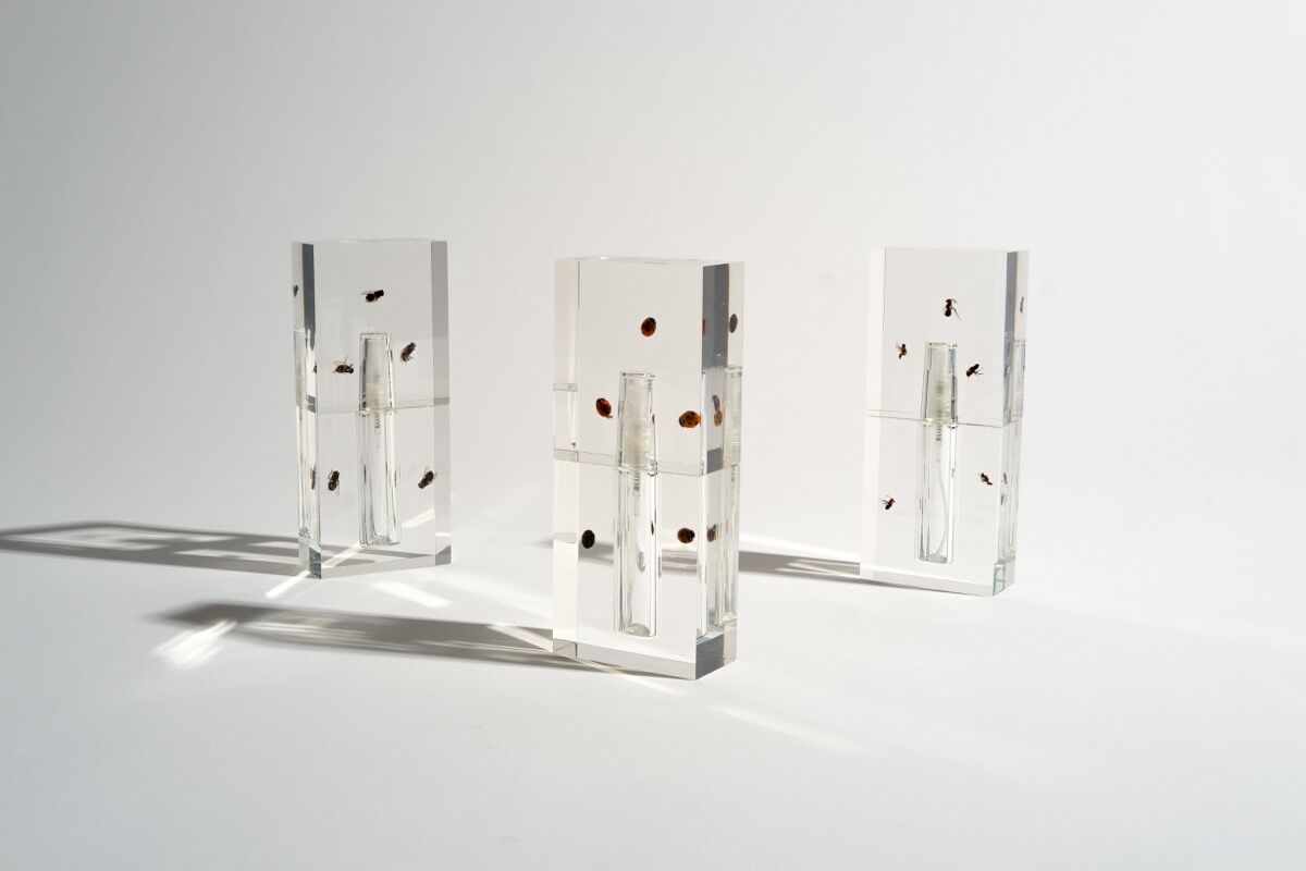 Anicka Yi's line of custom fragrances titled “Biography.” Courtesy of the artist.