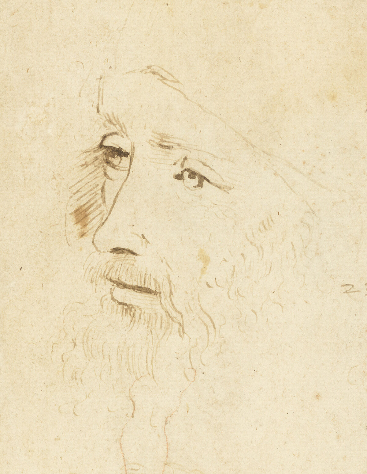 The Second Known Portrait Of Leonardo Da Vinci Was Discovered