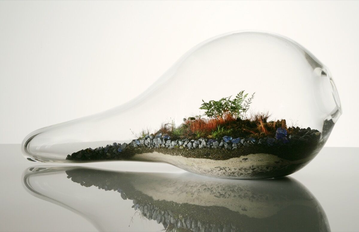 Terrariums Let Anyone Create a “Perfect World” in Their Own Apartment -  Artsy