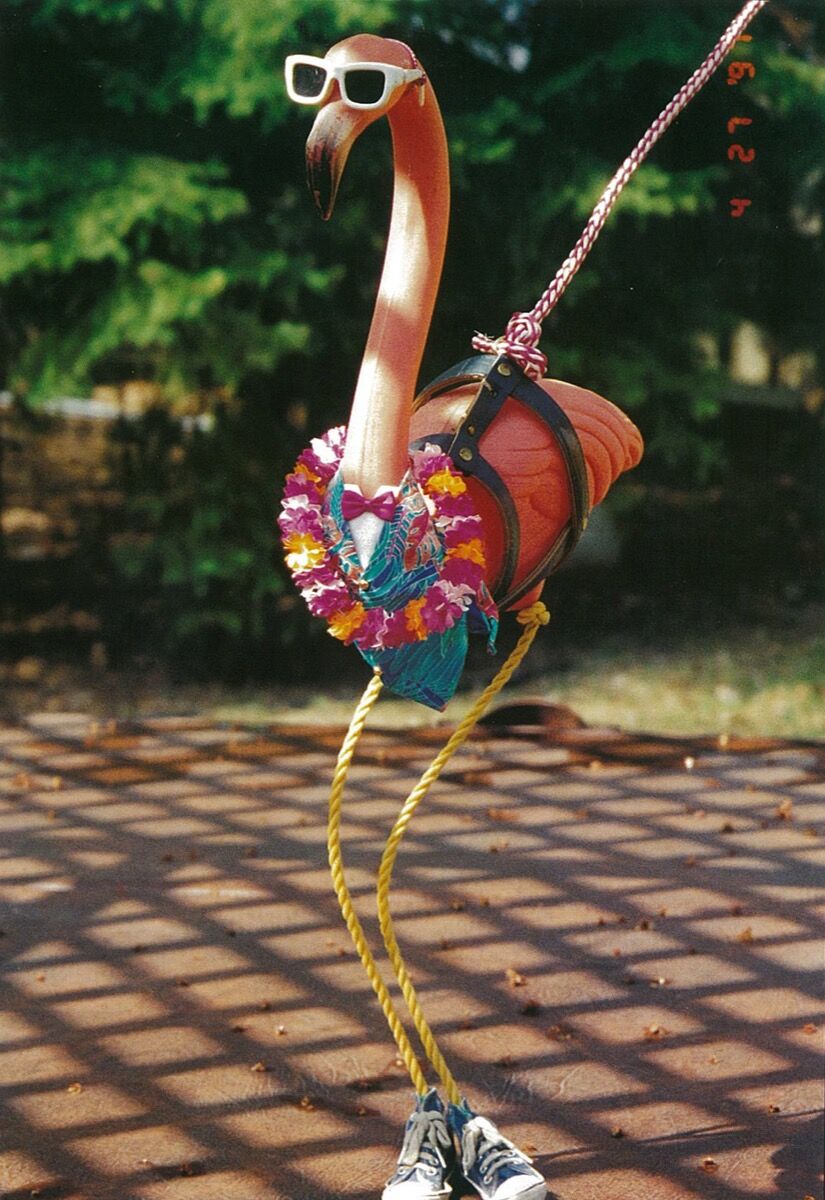 How Don Featherstone S Pink Plastic Flamingo Landed On Lawns Across The World Artsy