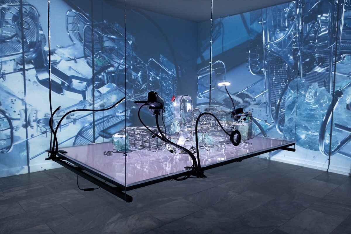 Installation view of WangShui, Gardens of Perfect Exposure, 2018. Photo by Alwin Lay. Courtesy of the artist.