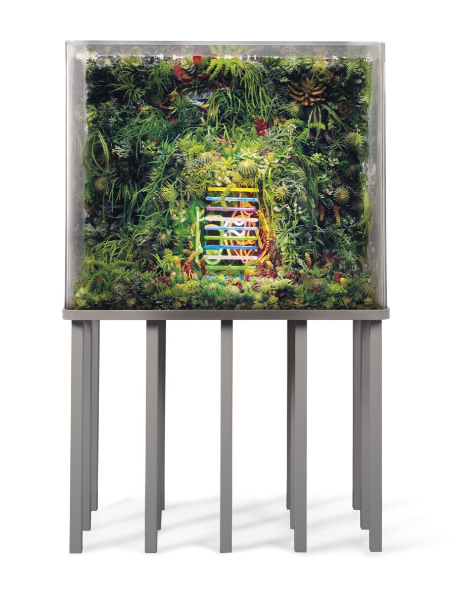 Max Hooper Schneider,The Extinction of Neon 5, 2018. Courtesy of the artist and X Museum Beijing.