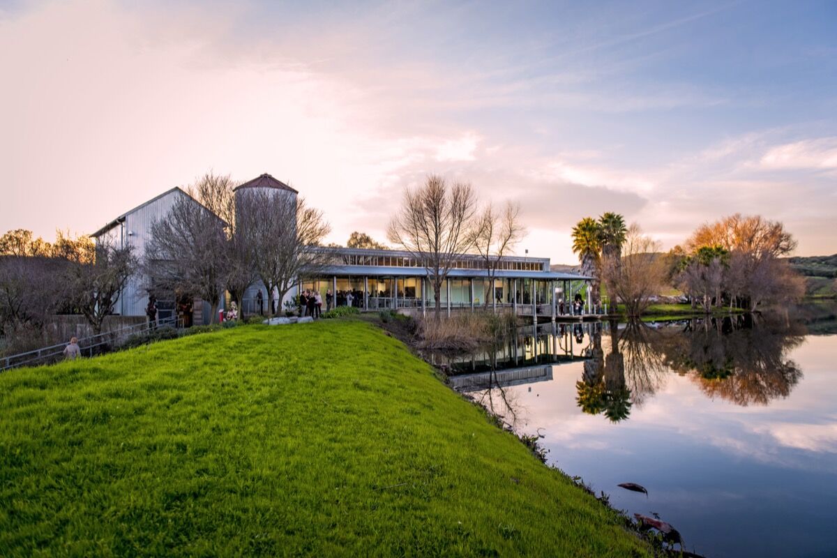 Exterior of Gallery 1. Photo by Israel Valencia. Courtesy of the di Rosa Center for Contemporary Art.