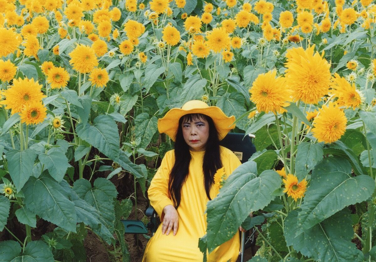 Yayoi Kusama, vẫn từ Flower Obsession (Hướng dương), thứ được phép lịch sự của nghệ sĩ.