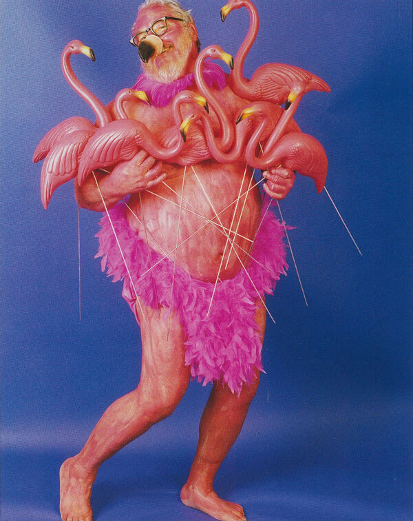 How Don Featherstone S Pink Plastic Flamingo Landed On Lawns Across The World Artsy