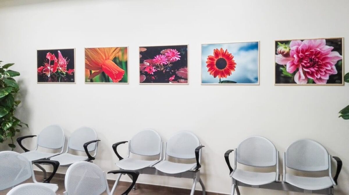 Does Figurative Or Abstract Art Make Hospital Patients Feel Better