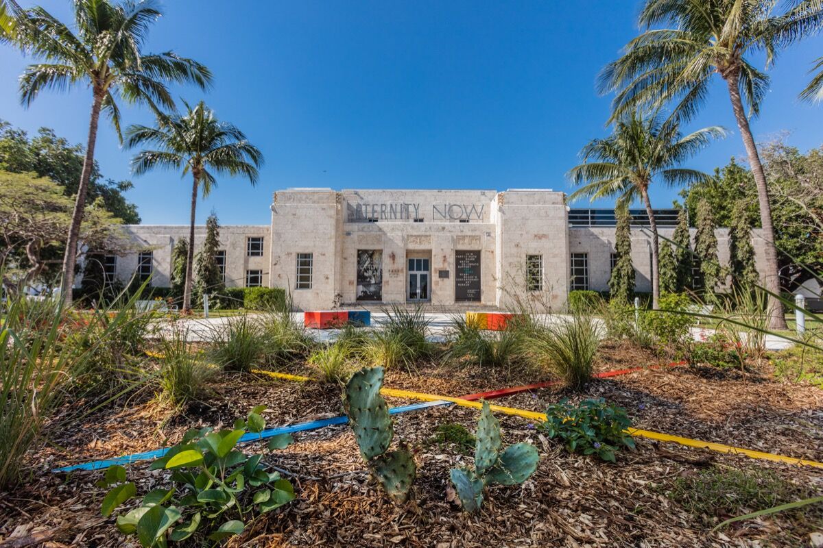 Abraham Cruzvillegas Is Growing An Oasis Of Healing Plants In A Miami Park Artsy