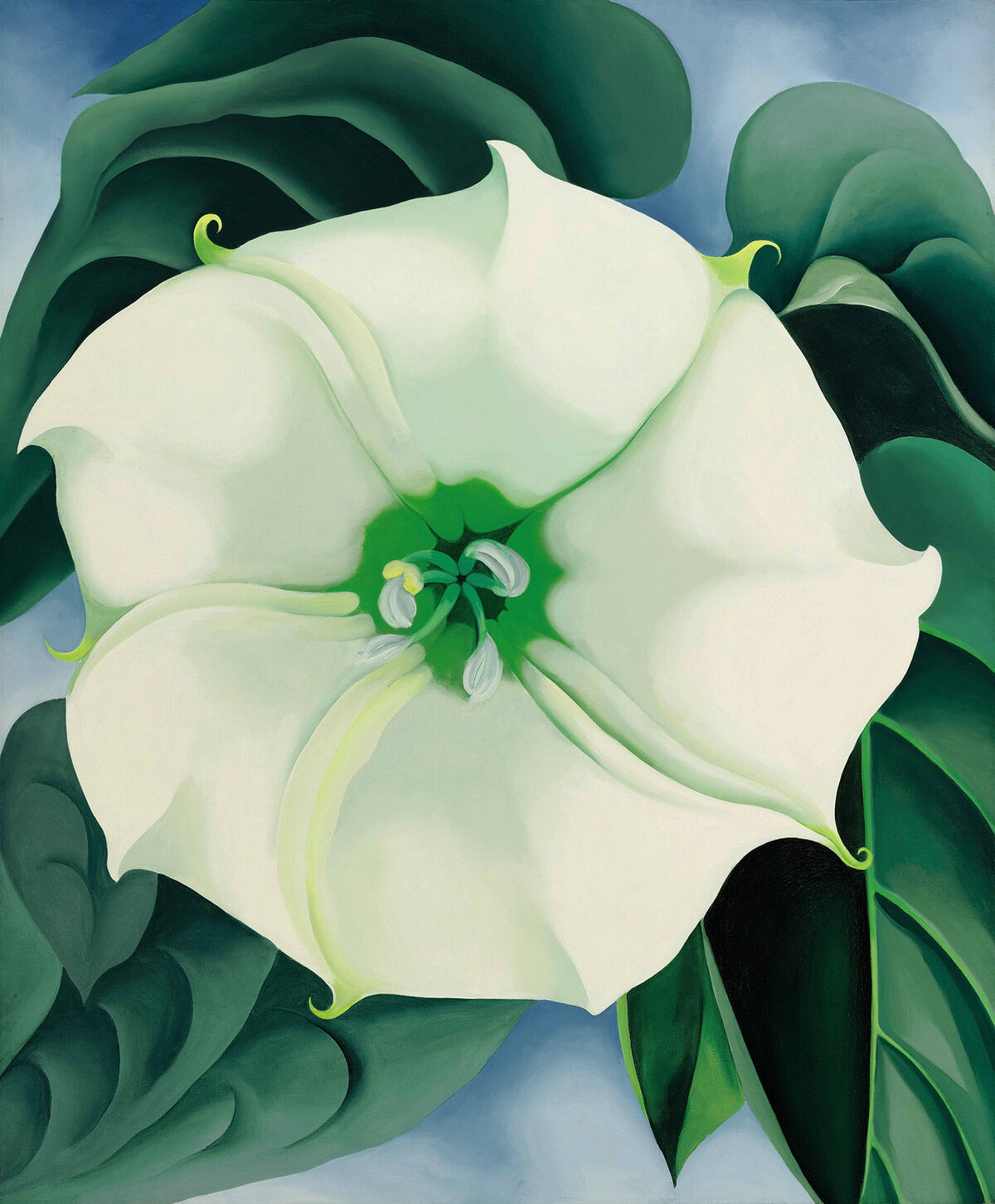 Georgia O'Keeffe, Jimson Weed / White Flower No. 1, 1932. Foto de Edward C. Robison III. Cortesía del Museo de Arte Americano Crystal Bridges, Bentonville, Arkansas.