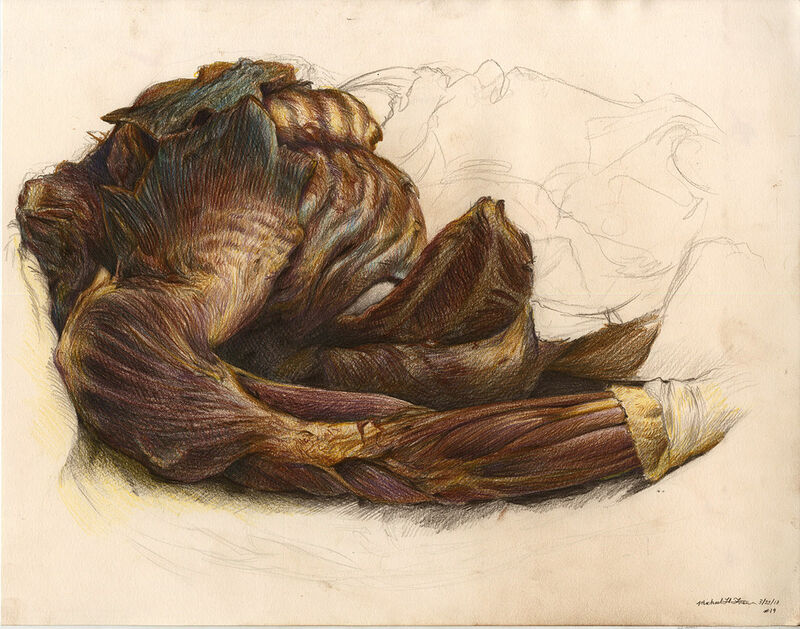 Featured image of post Holding Dead Body Drawing Reference A dead body decays normally unless magically preserved but magic that restores a dead character to life any obvious threat such as someone drawing a weapon casting a spell or aiming a ranged a panicked creature must drop anything it holds and flee at top speed from the source of its fear as