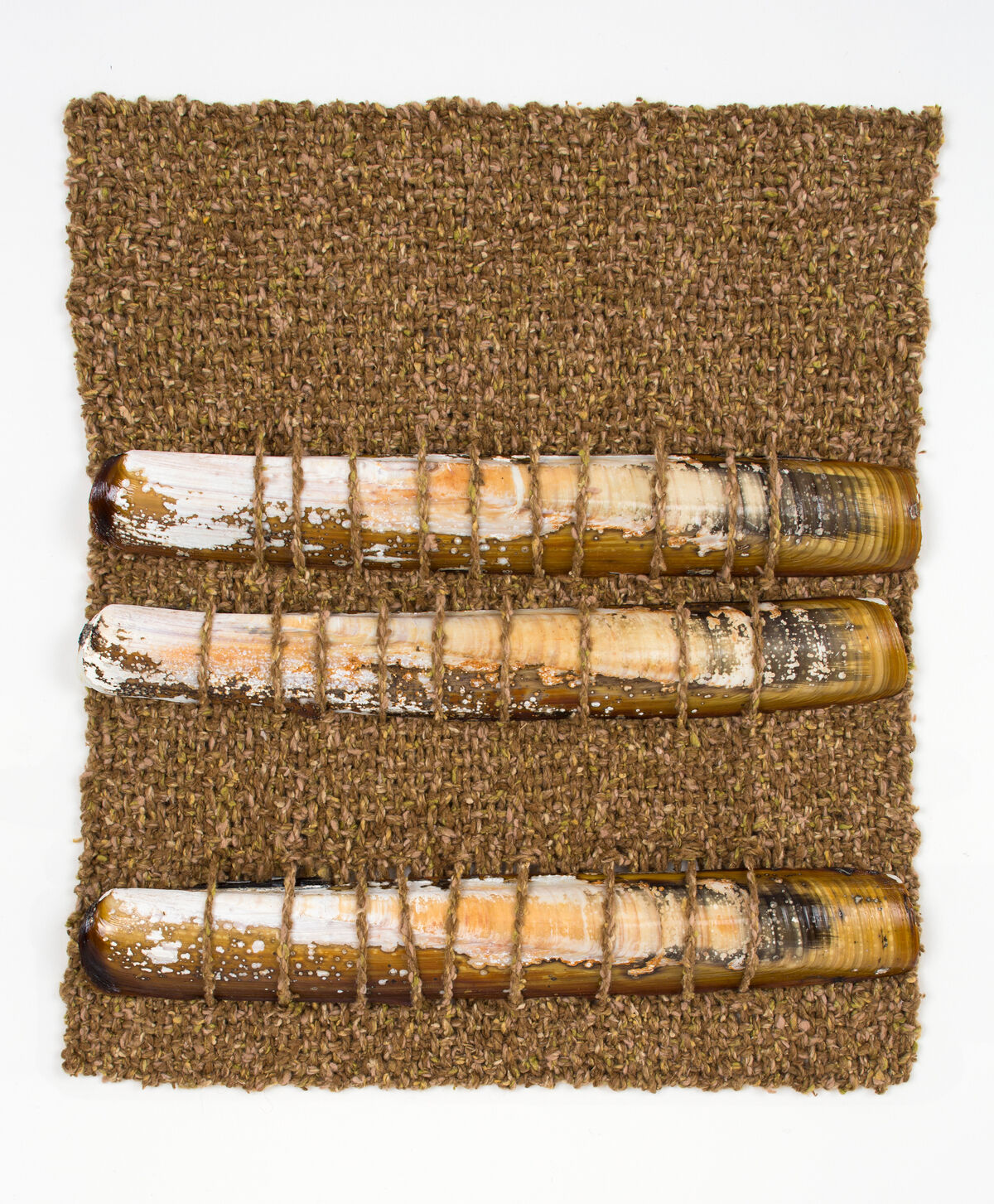 Sheila Hicks, My Two Friends, 2010. Photo by Daniel Kukla. Courtesy of Demisch Danant.