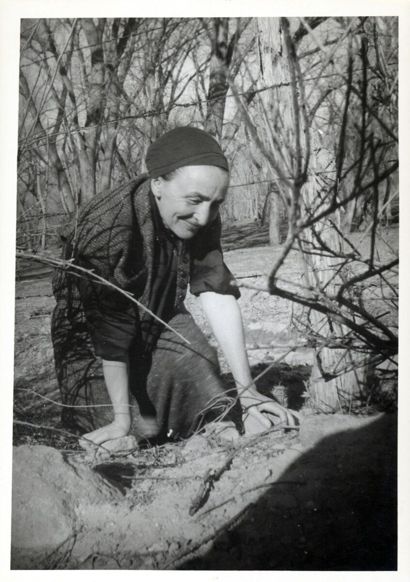 How Georgia O Keeffe S Garden Keeps Growing Artsy