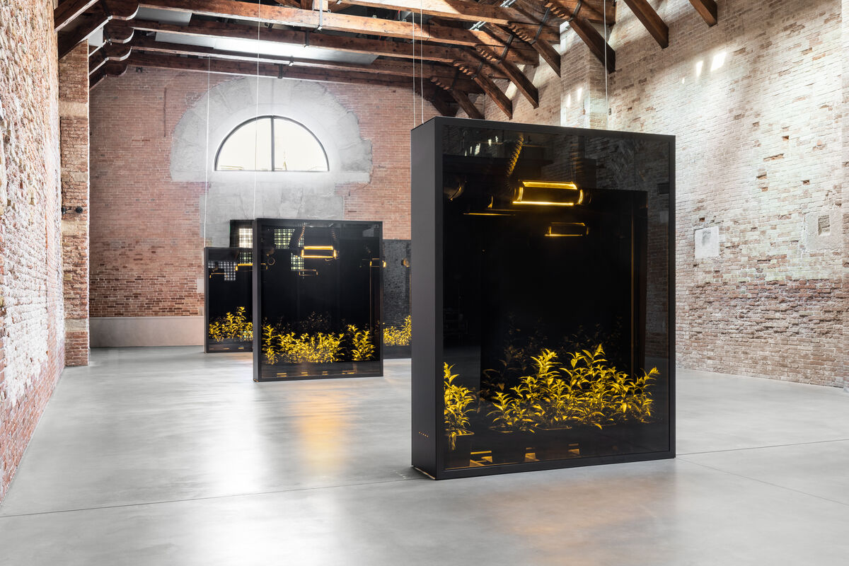 15 Venice Exhibitions To See During The Biennale Artsy
