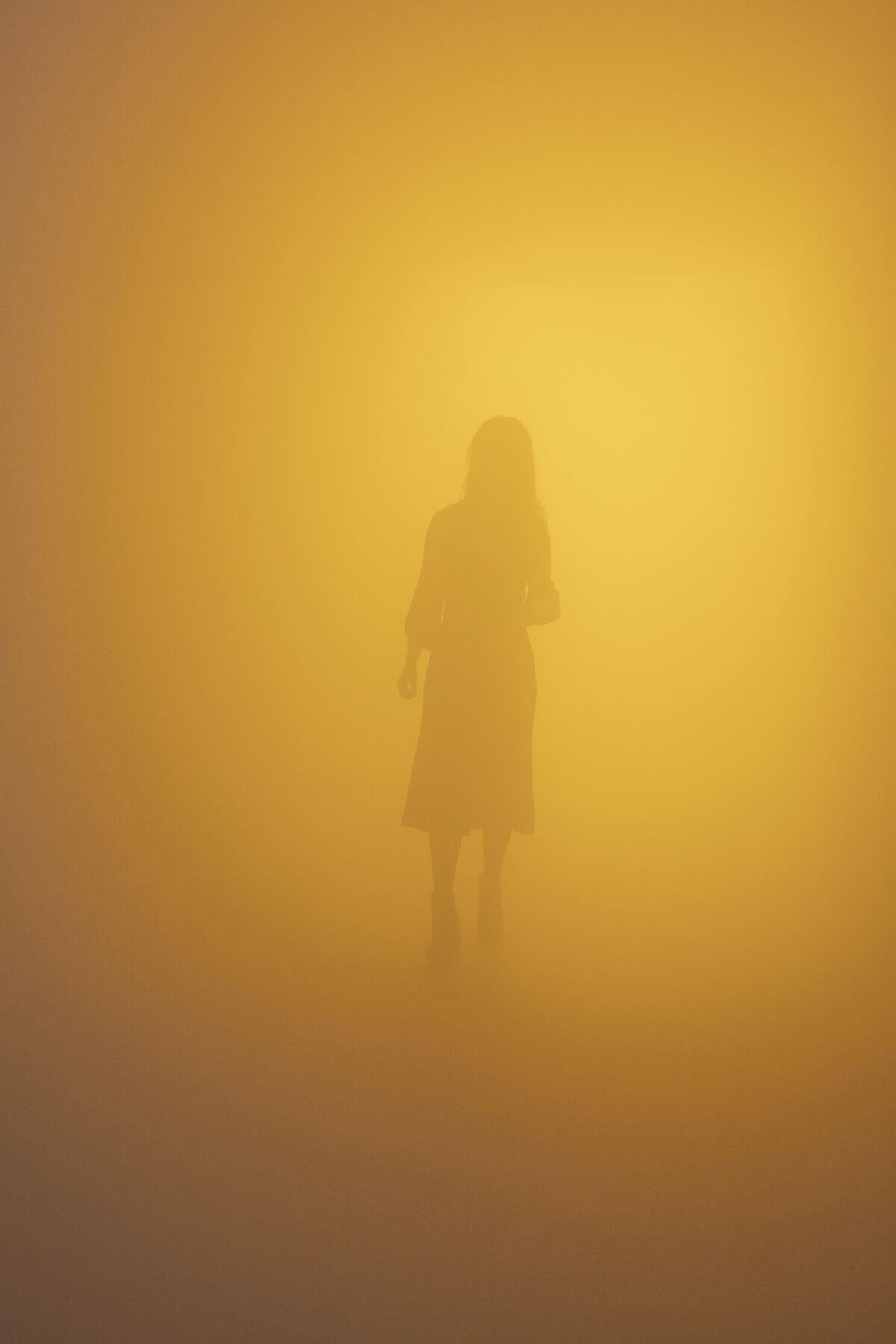 Olafur Eliasson, Your blind passenger, 2010. Photo by Anders Sune Berg. Courtesy of the Tate.