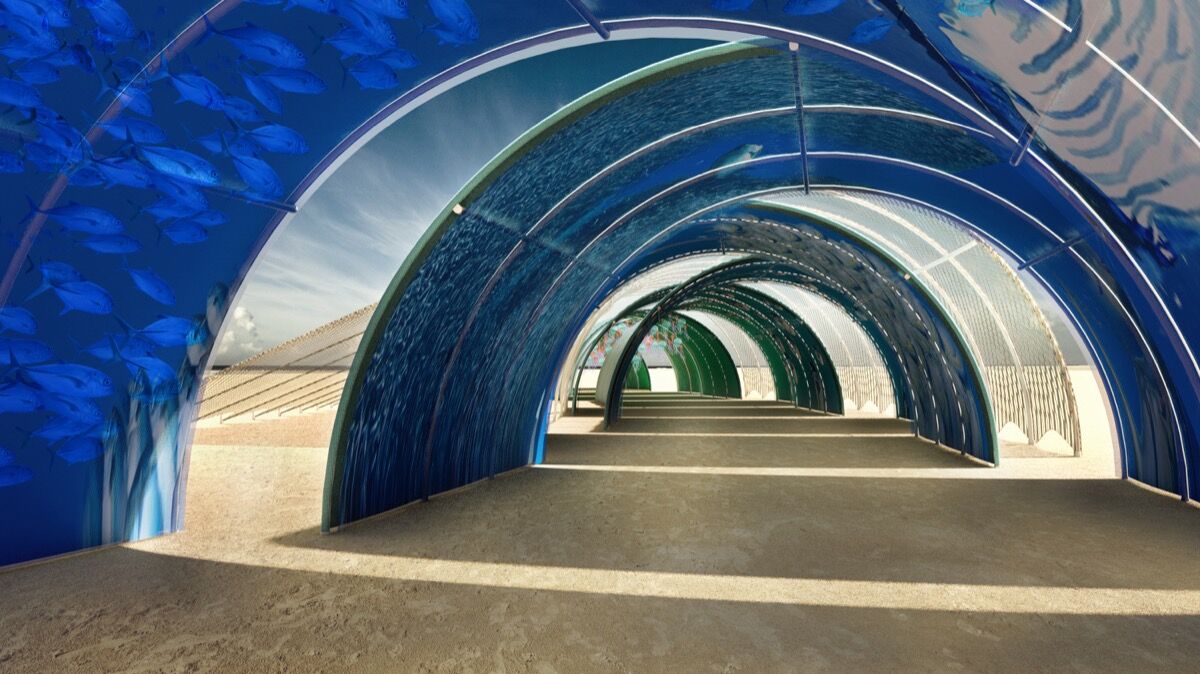 Interior view of Madeleine Hamann, Mikey Benaron, Sierra Joy, Ryan Searcy, and Chris Olson, Ocean Tunnel, 2018. Courtesy of the artists.