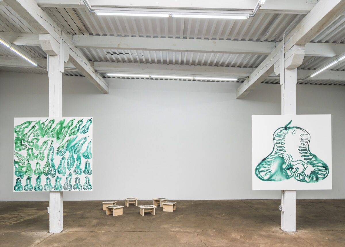 Installation view of Brook Hsu, “Fruiting Body” at Bahamas Biennale, Detroit, 2018. Courtesy of Bahamas Biennale.