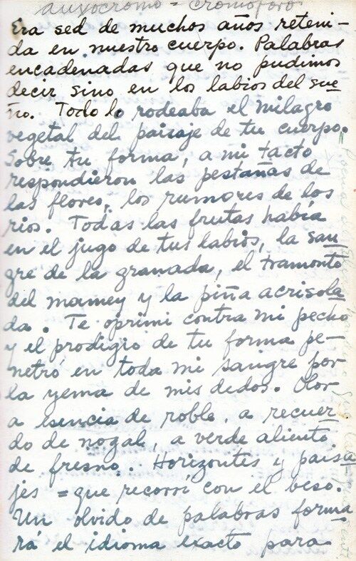 Frida Kahlo S Love Letters To Diego Rivera Reveal Their Volatile Relationship Artsy Frida Kahlo S Love Letters To Diego Rivera Reveal Their Volatile Relationship Artsy