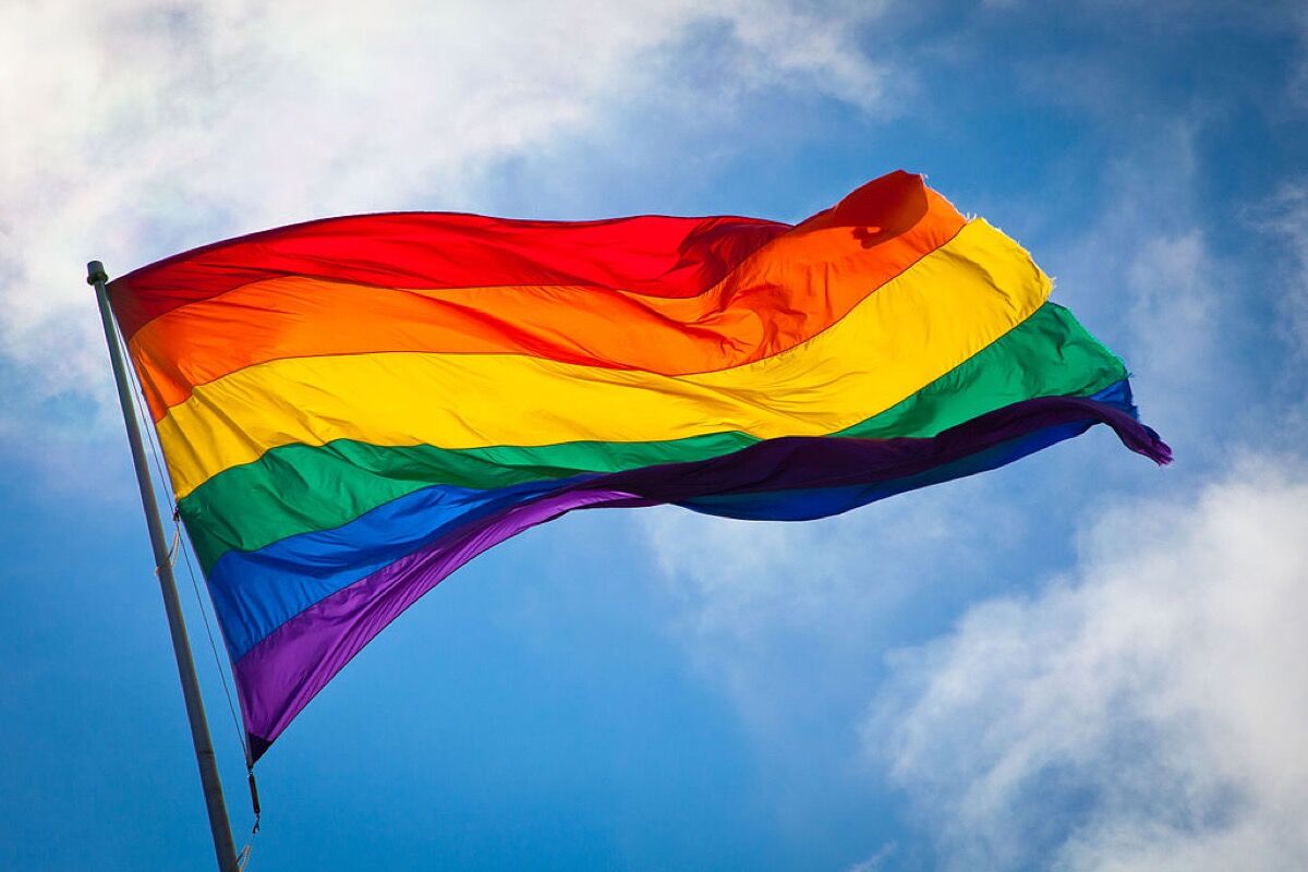 Image result for gay flag