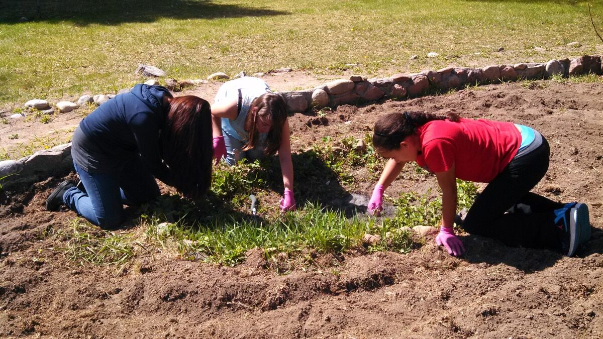 How Georgia O Keeffe S Garden Keeps Growing Artsy