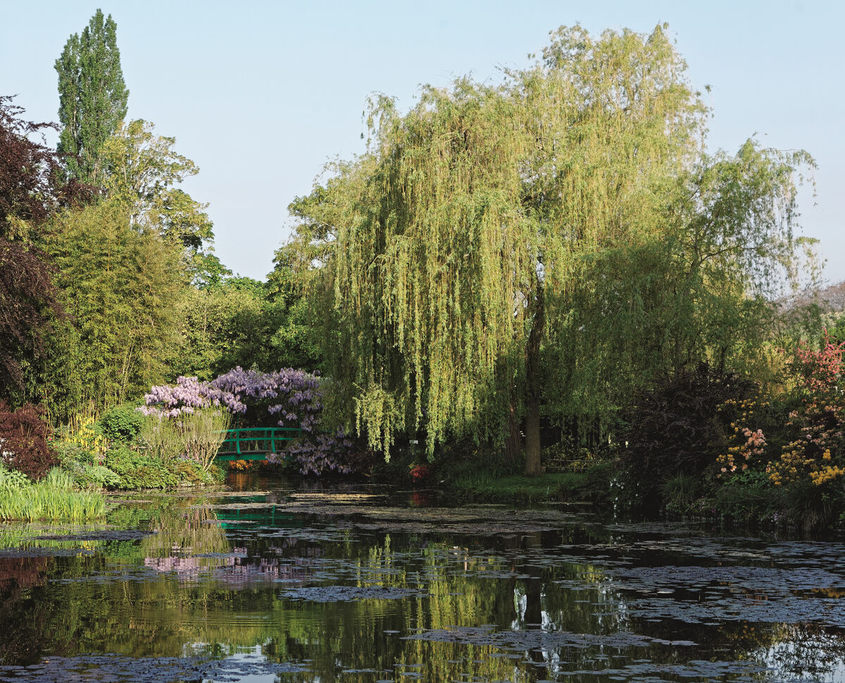 Claude Monet’s garden in Giverny. Image © Francis Hammond, from A Day with Claude Monet in Giverny, by Adrien Goetz. Courtesy of Flammarion, 2017.