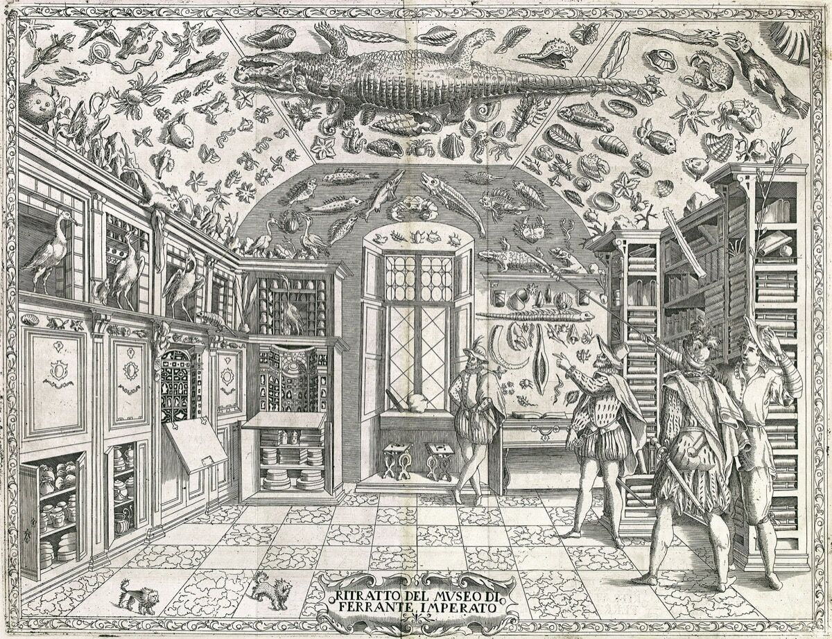 Incisione di Ferrante Imperato, Dell'Historia Naturale, 1599. Immagine via Wikimedia Commons.