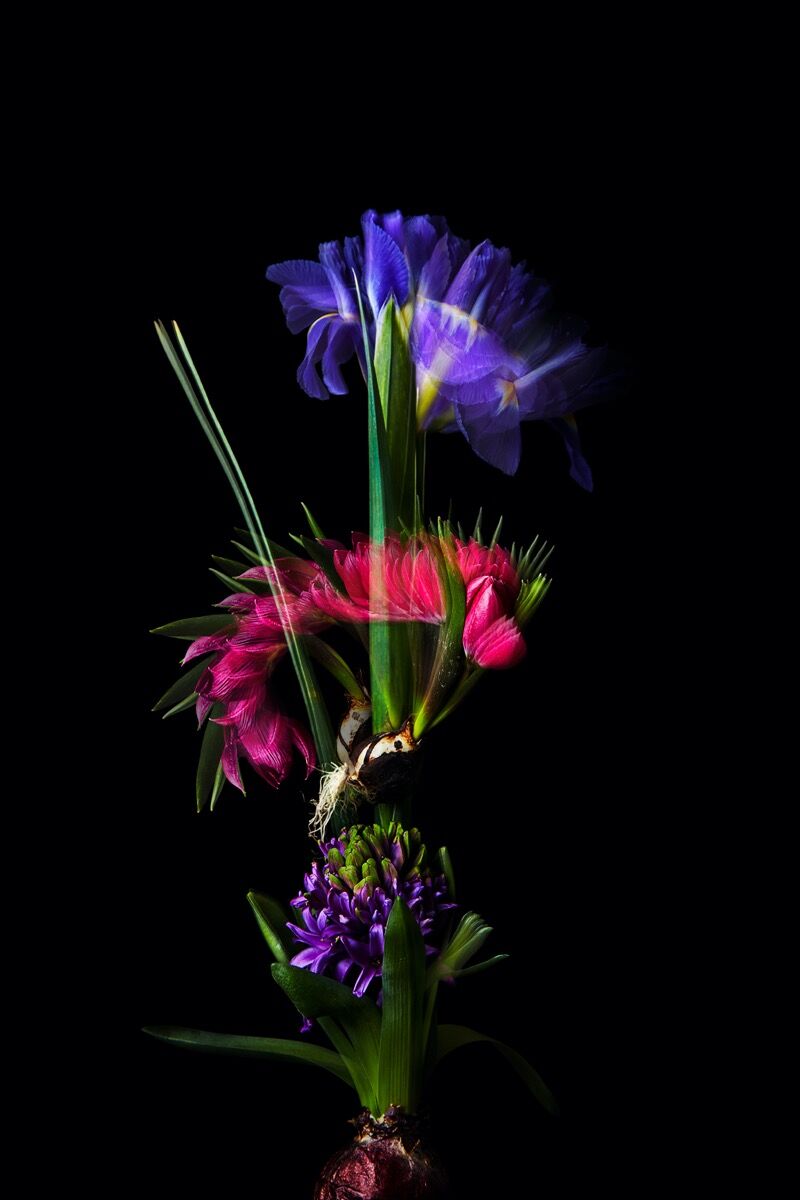 Azuma Makoto, Shouting Flowers, en Tokio, 2017. Foto de Shiinoki Shunsuke. Cortesía del artista y AMKK.