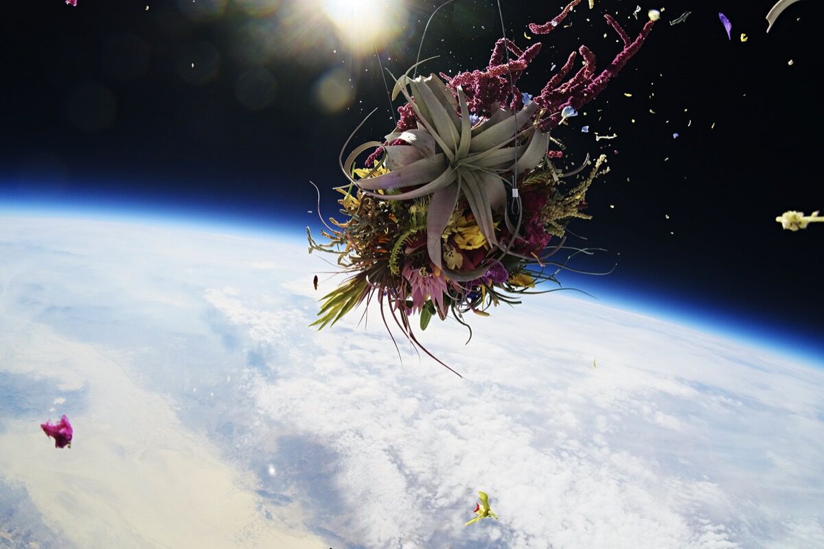 Azuma Makoto, In Bloom # 1 EXOBIOTANICA I— VUELO BOTÁNICO AL ESPACIO, en Nevada, 2014. Foto de Shiinoki Shunsuke. Cortesía del artista y AMKK.