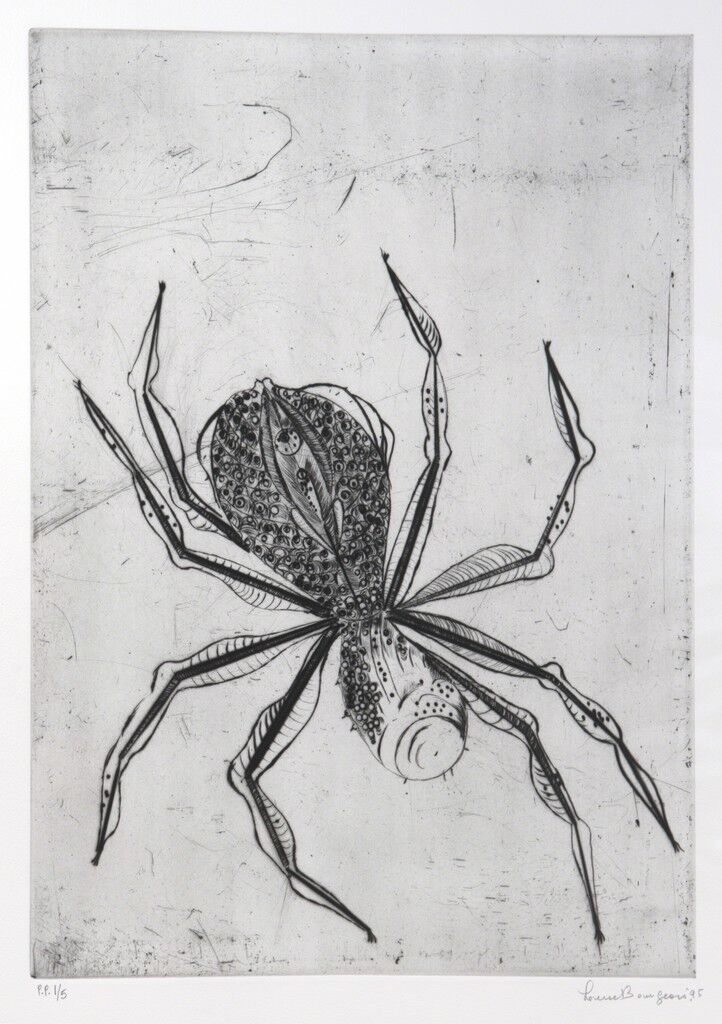 Spider