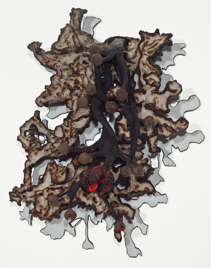 S/ Titulo - "Sombra"