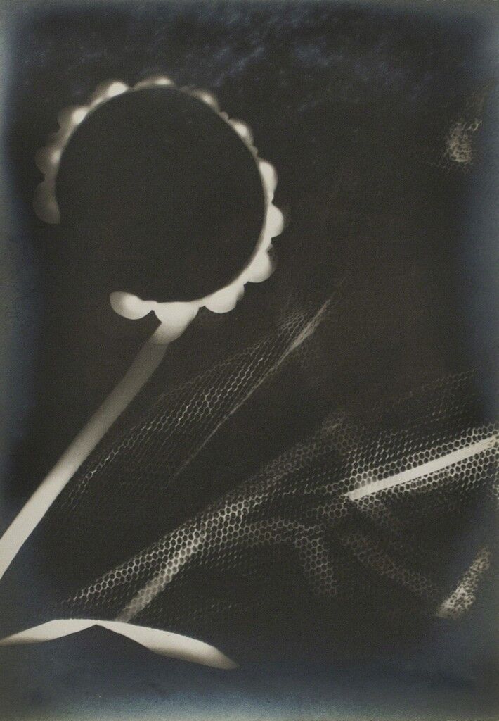 Untitled (Rayograph)