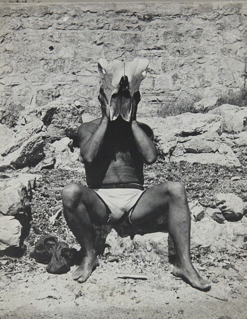 Picasso au crâne de boeuf
