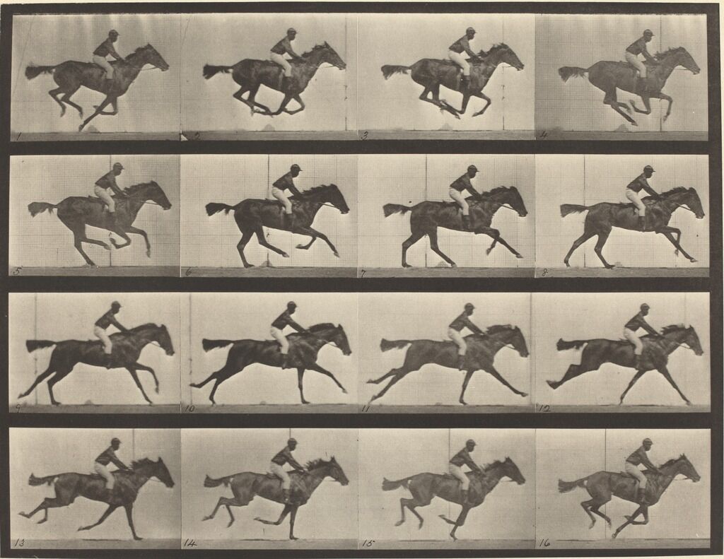 Animal Locomotion, Plate 626