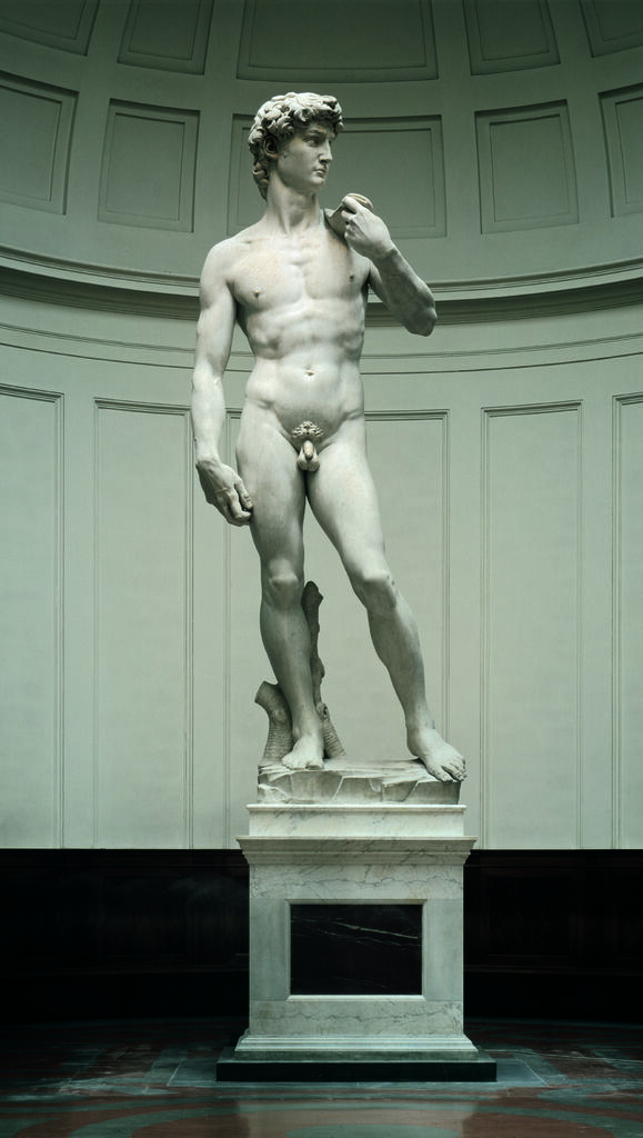 Michelangelo Buonarroti-
David, 1501-1504