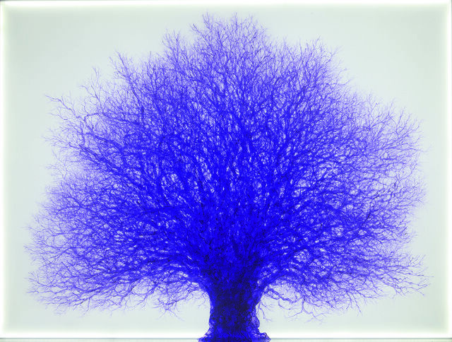 A Show Of Contemporary Korean Art Spotlights Intersections Of Nature And Technology Artsy